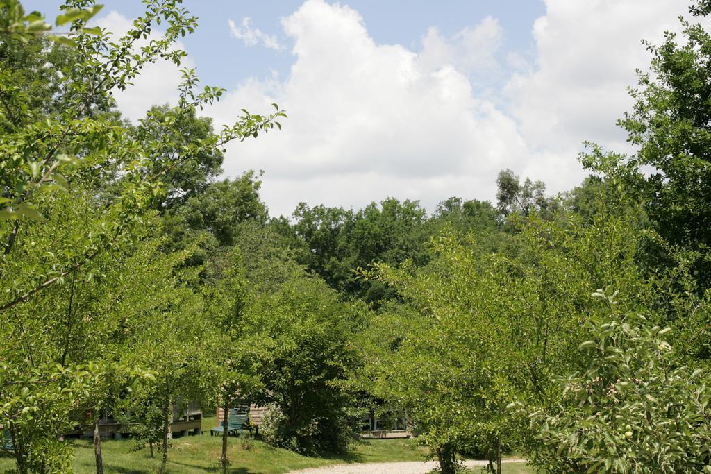 Moulin Des Sandaux Sainte-Foy-la-Grande Cameră foto